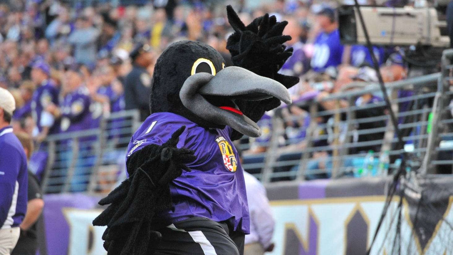 purple friday poe featured