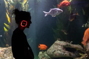 aquarium voyages silhouette