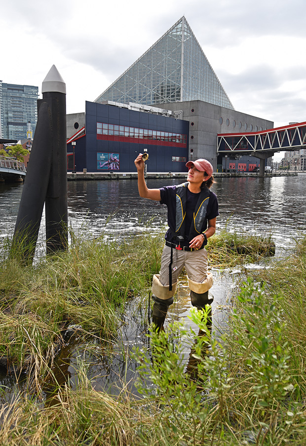 A man standing in the water near a building, immersed in The Harbor Wetland Experience.