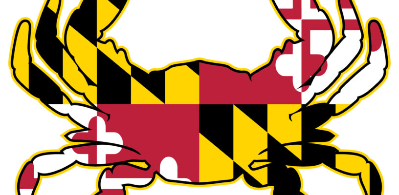 Celebrate Maryland Day Festival with a unique crab featuring the iconic Maryland flag.