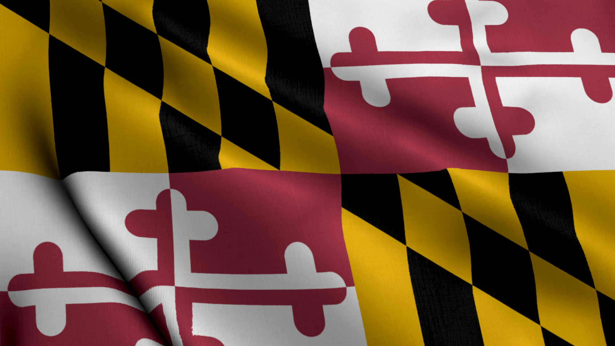 A close up of the Maryland flag fluttering at the Maryland Day Festival.