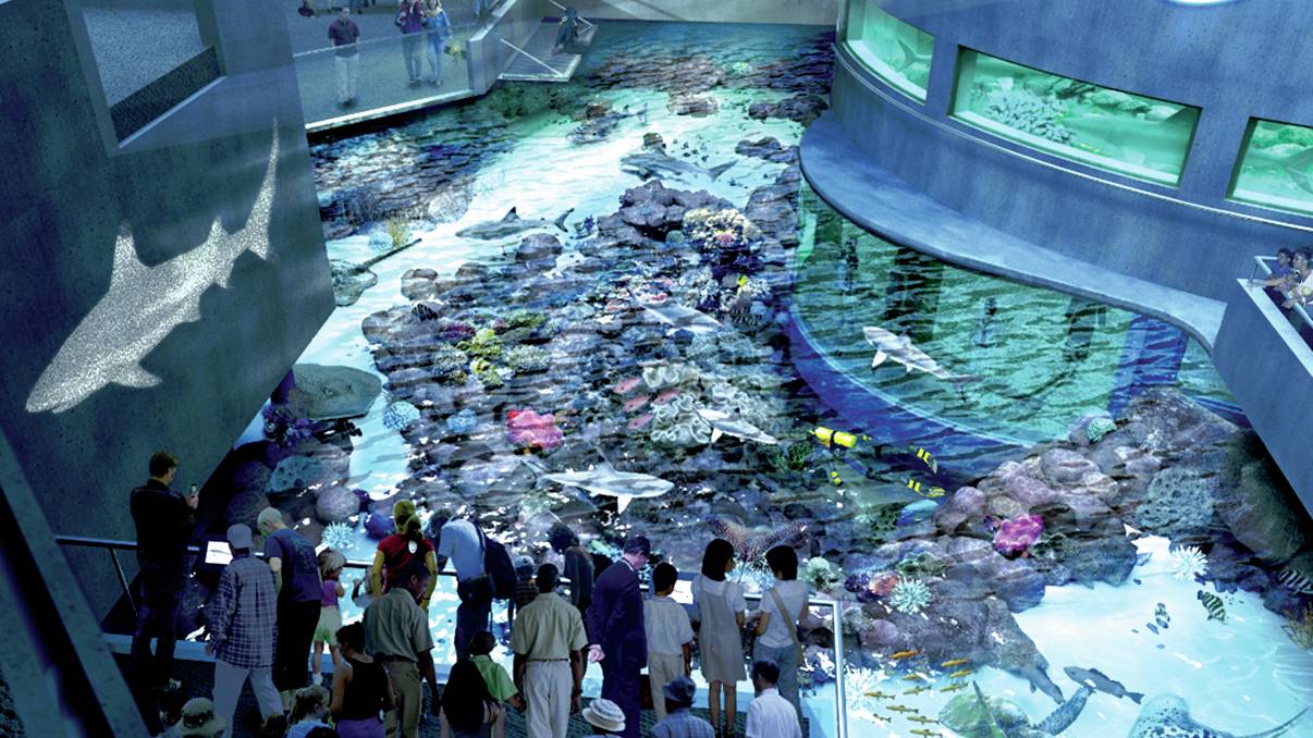 A group of people looking at an aquarium inside a building.