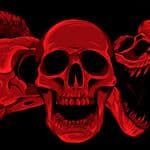 Illustration of various red skulls, including a human, bird, and several animal skulls, arranged in a row on a black background.