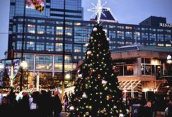 A decorated Christmas tree stands in a busy urban plaza at dusk, with people gathered around and city buildings in the background.